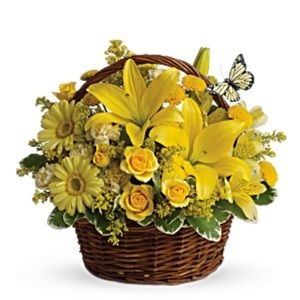 Meet your Posher, Dawn